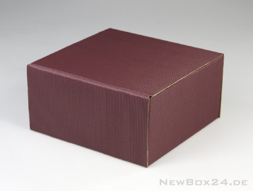 Klappdeckelverpackung 220-01