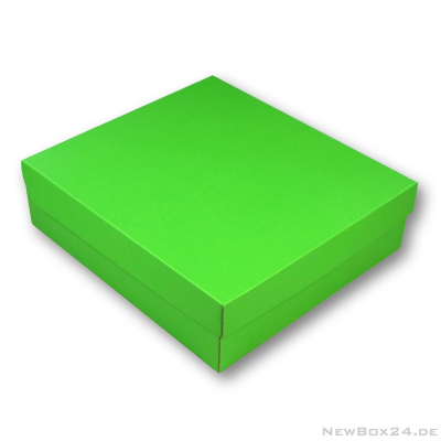 Klappdeckelbox 216 - 315 x 280 x 90 mm