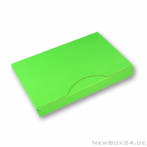 Wellkarton Farbe 10 hellgrün - glatt