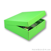 Wellkarton Farbe 10 hellgrün - glatt