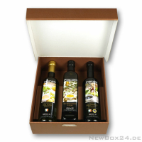 Klappdeckelbox 216 - 270 x 250 x 90 mm