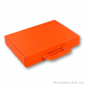 Kofferbox 673 in Größe 05 - 330 x 230 x 55 mm
