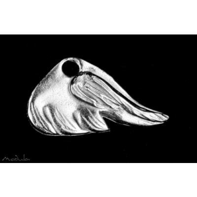 Anh&auml;nger Fl&uuml;gel rechts poliert - ausverkauft!
