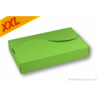 Designverpackung 154 in Größe 09, 280 x 164 x 47 mm