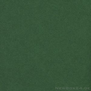 Karton Farbe 06 grün