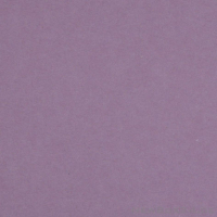 Karton Farbe 16 lila