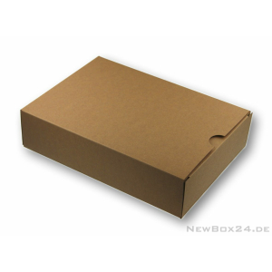 Faltbox Nr. 08, 185 x 130 x 45 mm - Karton