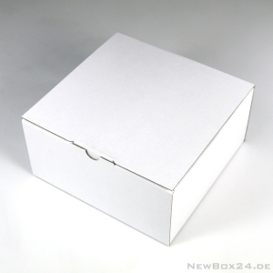 Klappdeckelbox 215 - 200 x 200 x 100 mm