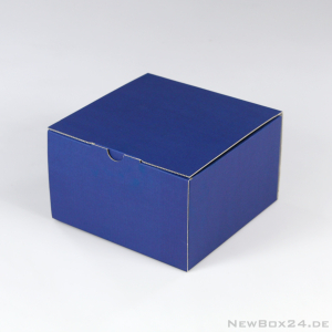 Klappdeckelbox 215 - 160 x 160 x 100 mm