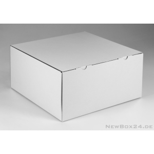 Klappdeckelbox 215 - 300 x 300 x 150 mm