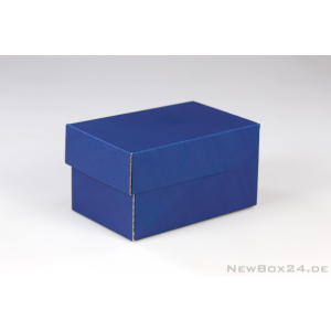 Klappdeckelbox 216 - 150 x 90 x 85 mm