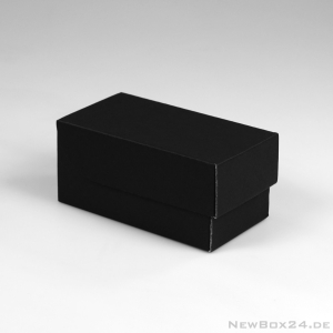 Klappdeckelbox 216 - 138 x 67 x 67 mm