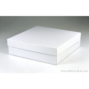 Klappdeckelbox 216 - 300 x 300 x 90 mm