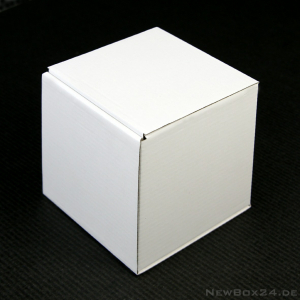 Klappdeckelbox 210-03, 100 x 100 x 110 mm