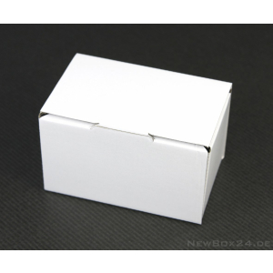 Klappdeckelbox 210-04, 130 x 80 x 75 mm