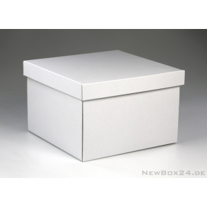 Stülpdeckelbox 401 - 220 x 220 x 150 mm