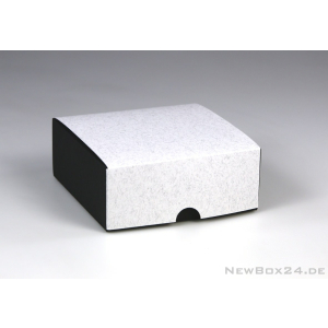 VARIO COLOR Klappdeckelbox 100 x 100 x 50 mm