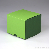 VARIO COLOR Klappdeckelbox 100 x 100 x 100 mm