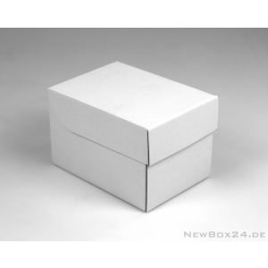 Klappdeckelbox 216 - 142 x 95 x 95 mm