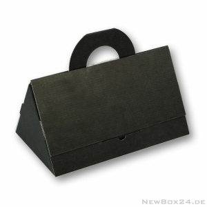 Kofferbox 164 - 248 x 148 x 125 mm (Außenmaße)