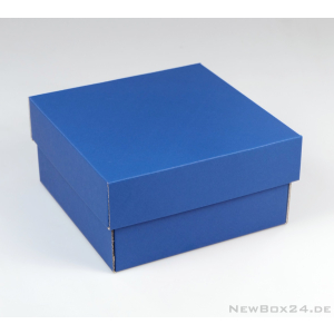 Stülpdeckelbox 401 - 190 x 190 x 100 mm