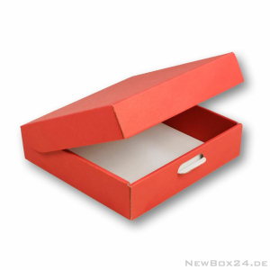 Klappdeckelbox 216 - 200 x 200 x 50 mm