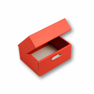Klappdeckelbox 216 - 125 x 100 x 63 mm (Querformat)