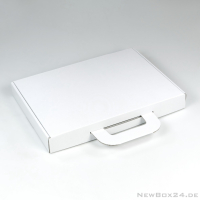 Kofferbox 673 in Größe 02 - 340 x 240 x 40 mm