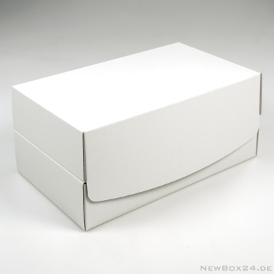 Klappdeckelbox 226 in Größe 01 - 240 x 160 x 60 mm